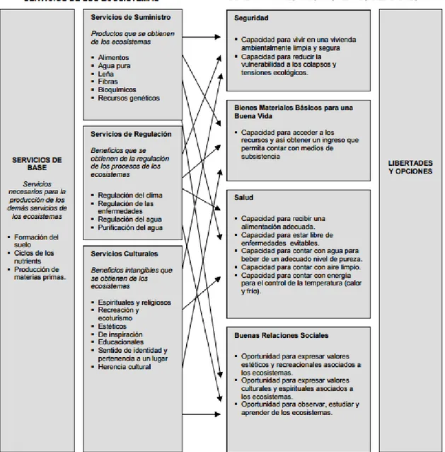 Figura 1. Servicios que prestan los Ecosistemas y sus Vínculos con el Bienestar  Humano 