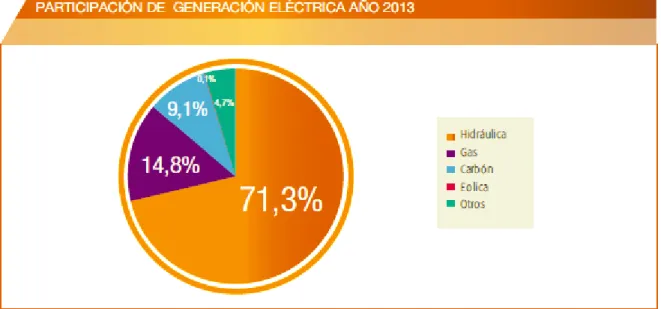 Figura 7. Participación de generación eléctrica en el año 2013. UPME. Boletín estadístico 2000-2013