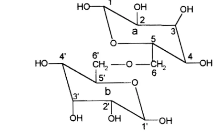 Figura 22.- 6-O-P-D-galactopiranosil-6 '-O-P-D-galactosa 