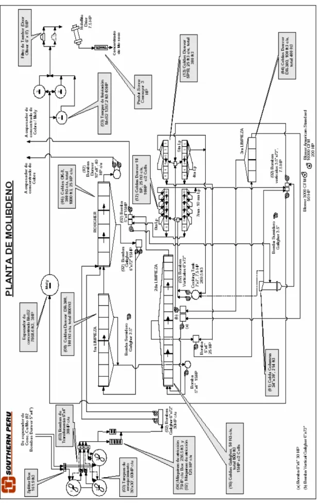 Fig. 5: Diagrama de flujo  de la planta de molibdeno