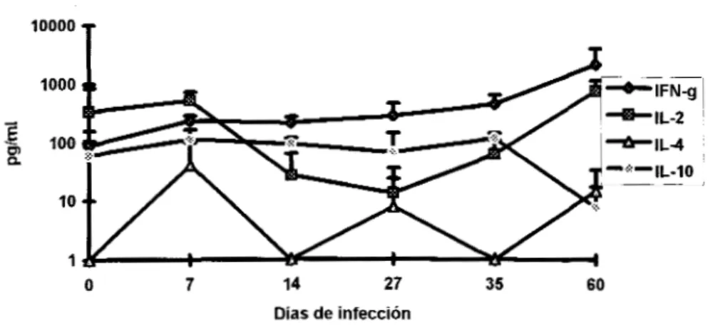 Figura 11: Producción  de  Citocinas  en  ratones  tratados  con  Cf. La  n=4 y las  barras  representan  la  DE 