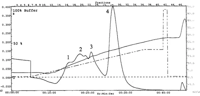 Fig. 1. Cromatografía  de intercambio  iiinico  de la  fracciiin de  0-100  kDa del  líquido  folicular de cerdo con una columna Mono  Q