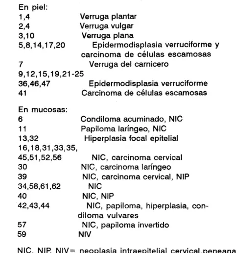 Cuadro 5.  Principales  tipos  de  HPVs  asociados a  lesiones  benignas  /  malignas 