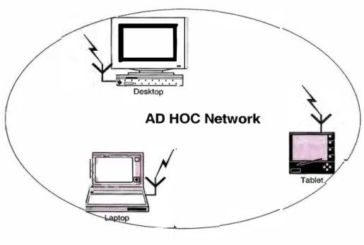 Figura 2.4: Red ad hoc 