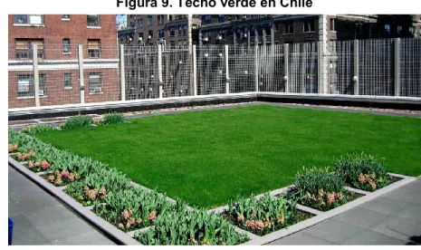 Figura 9. Techo verde en Chile 