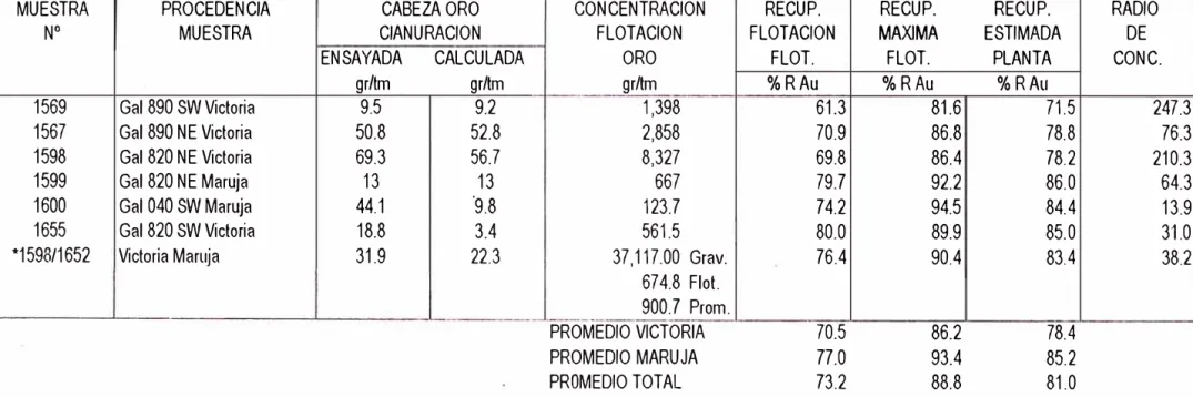 CUADRO N º  10  RESUMEN DE RESULTADOS DE FLOTACION DE ORO CON 75%- rn 200  DE PRUEBAS EFECTUADAS EN LABORATORIO 