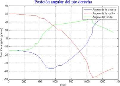 Figura 4.9: Variación angular de las uniones del pie derecho para un ciclo de caminata.