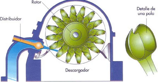 Figura 1. Funcionamiento de una turbina Pelton.