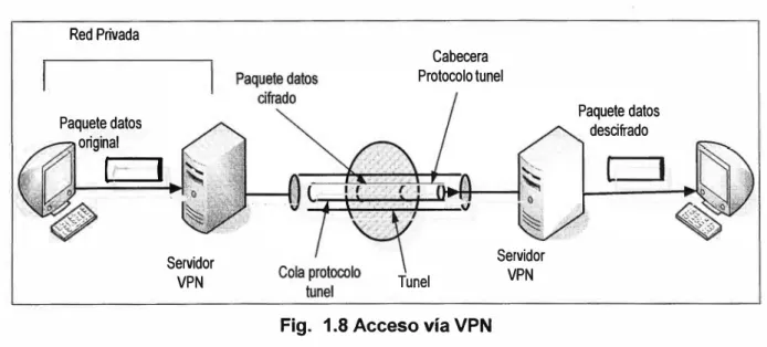 Fig.  1.8 Acceso vía VPN 