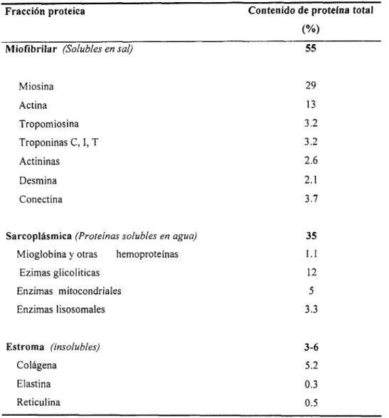 Tabla 3.4.  Composición  de  las  proteínas  del  músculo  esquelético  de  las  aves  (Smith,  2001) 