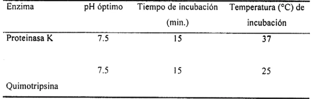 Tabla  5.1.  Condiciones  de  incubación  empleadas  por  las  proteasas  empleadas  para  probar  la  sensibilidad  de  Lactococcus  lactis  subs