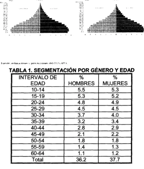 TABLA 1. SEGMENTACIóN POR  GÉNERO Y  EDAD 