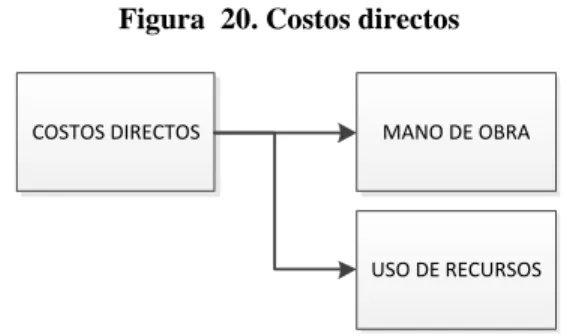 Figura  20. Costos directos 