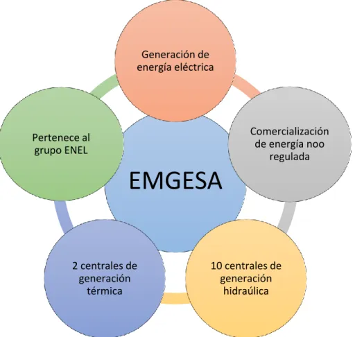 Ilustración 8. Generalidades de EMGESA 