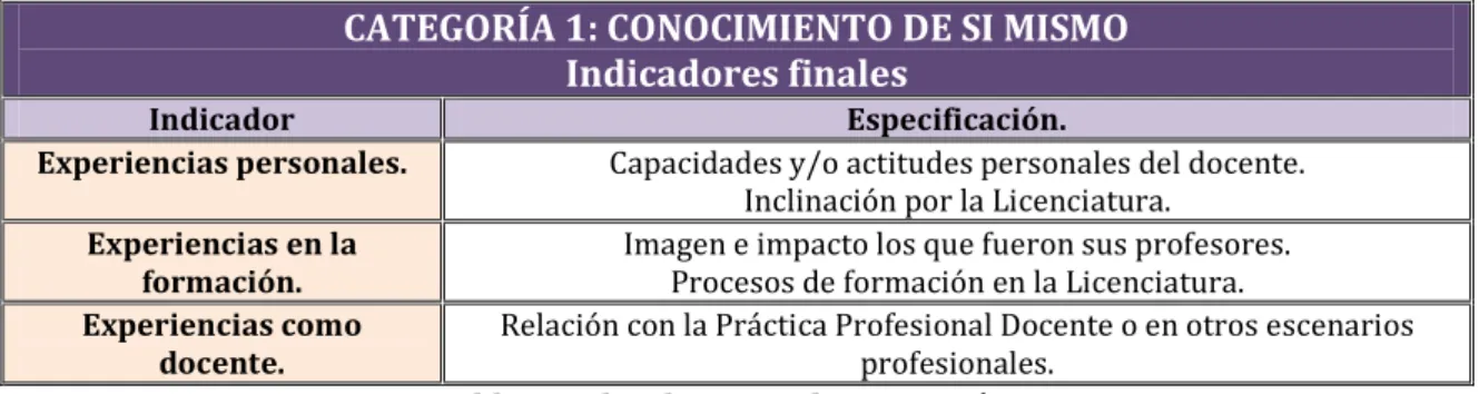 Tabla 6. Indicadores Finales Categoría 1. 