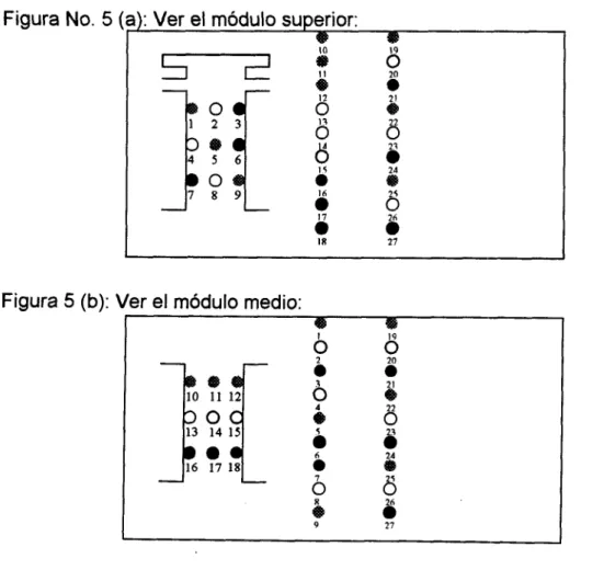 Figura  No. 5 