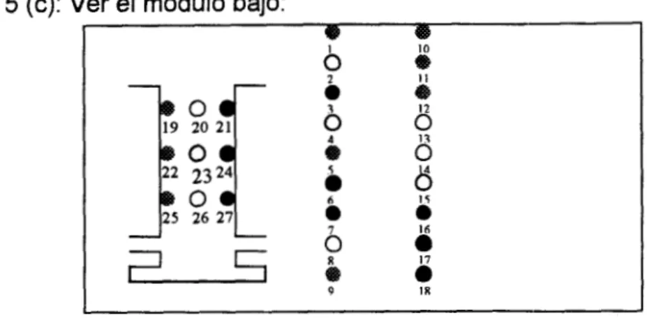 Figura  5  (c): Ver el módulo  bajo: 