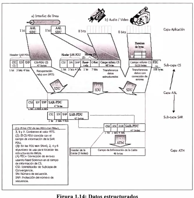 Figura 1.14: Datos estructurados 