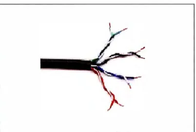 Figura  1.6 - Cable par trenzado 