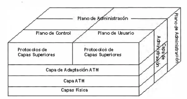 Figura 3.1  Protocolo de modelo de referencia para A TM Banda Ancha 