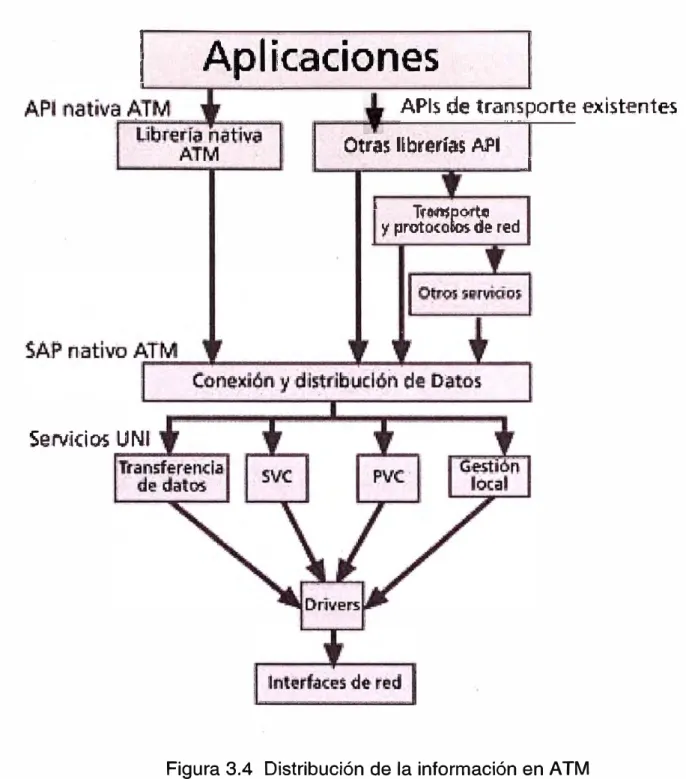 Figura 3.4  Distribución de la información en ATM 