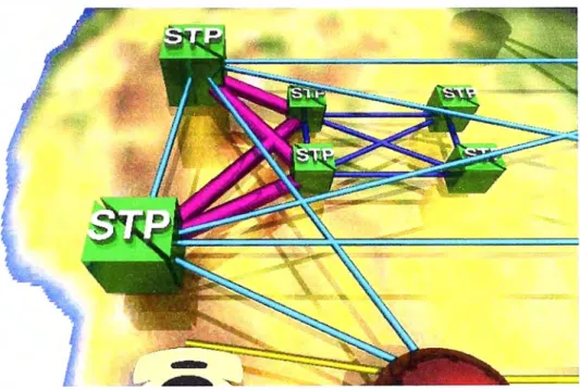 Fig.  1.7 Enlace D 