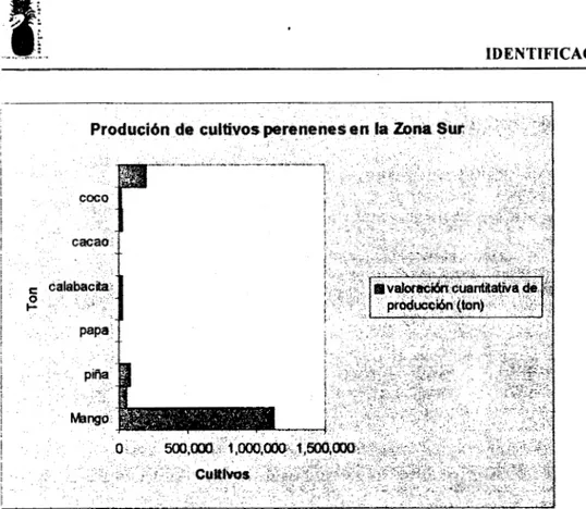 Tabla  1.10.  Producción  pesquera  del estado de Oaxaca  (periodo  1995) 