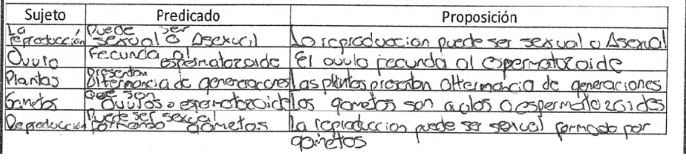 Fig. 08. Proposiciones identificadas por los estudiantes de grado noveno en la guía No