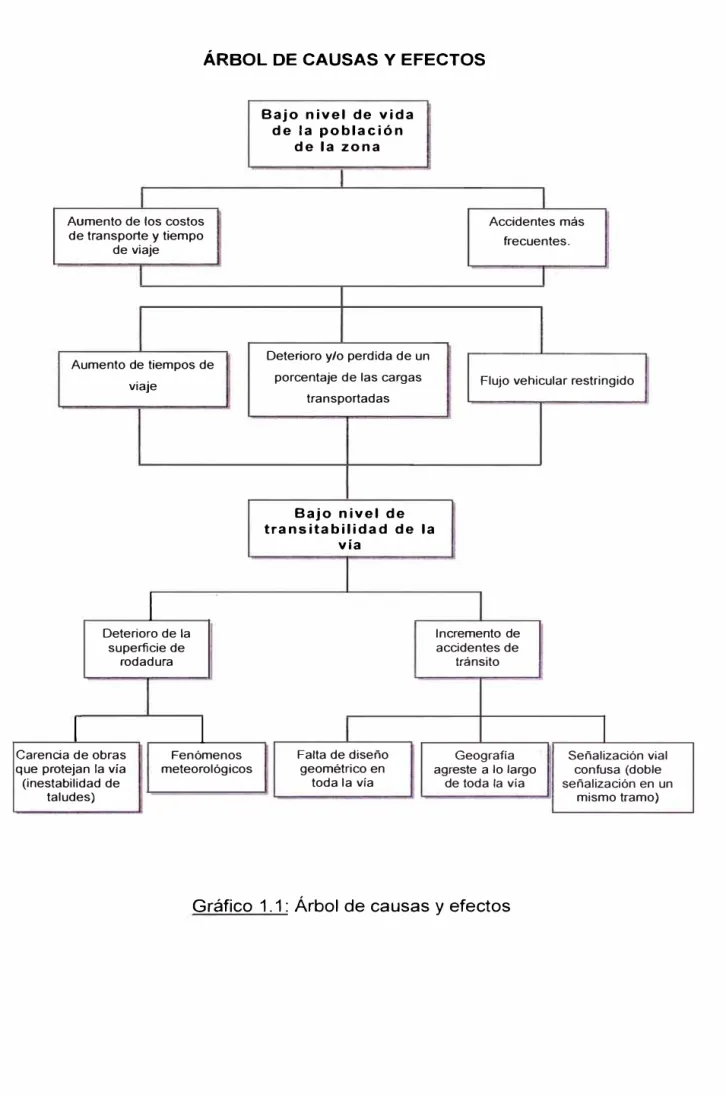 Gráfico  1. 1: Árbol  de causas y efectos 