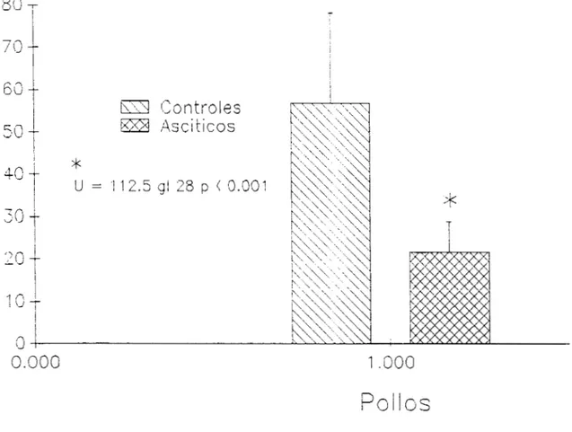 Figura  2.  Contenido  ce  Fosfolipidos  e n   m e m b r a n a s   plasmaticas  de  celuIcs  nepzrticas  de  pollos