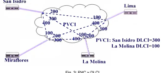 Fig. 3:  PVC y DLCI 