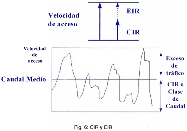 Fig. 6: CIR y EIR 