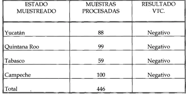 CUADRO No. 1.  RESULTADO  DE  MUESTREOS  EN HUERTAS,  VIVEROS,  PLANTAS  COMERCIALES  DE  CITRICOS  DE  CUATRO  ESTADOS  DE  LA  REPUBLICA  MEXICANA