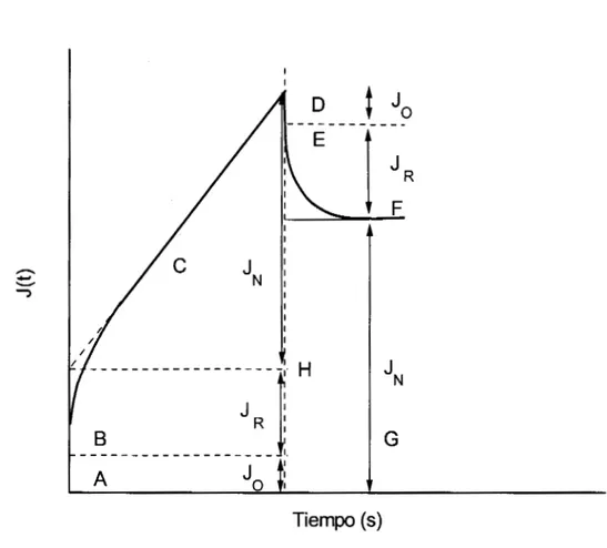 Figura 3.6 Gráfica  típica de deformación-esfuerzo en  función  del  tiempo 