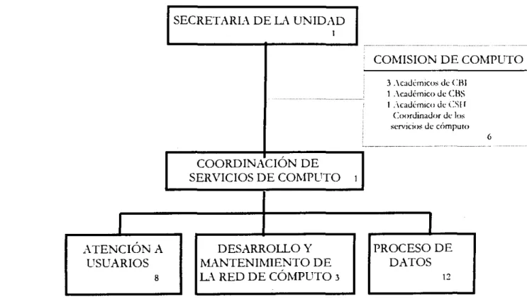 Figura  6 .   Organigrama de  la  Coordinación de Senlcios de Cómputo (CSC) 