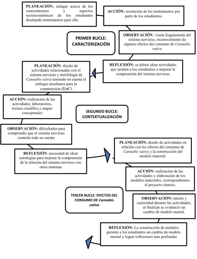 Fig. 5: Bucles de investigación 