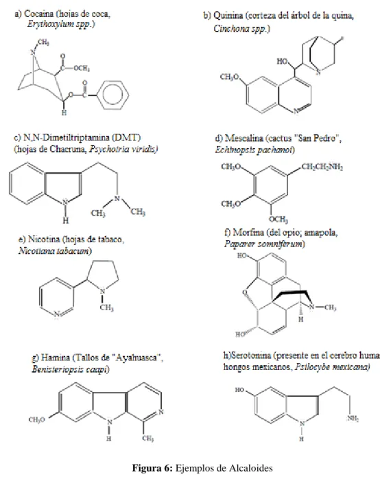 Figura 6: Ejemplos de Alcaloides 
