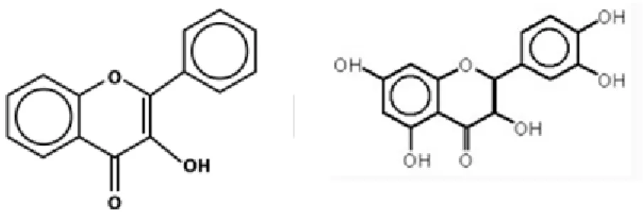 Figura 11: Flavonoides de la Maca 