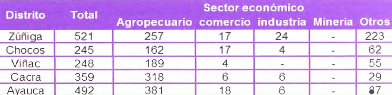 CUADRO 2.06:  POBLACIÓN ECONÓMICAMENTE ACTIVA (PEA) 