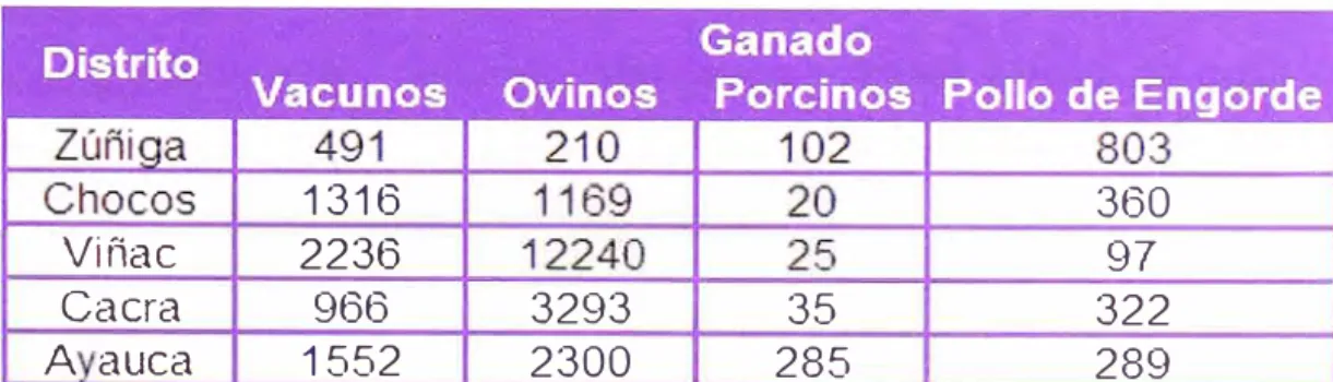 CUADRO 2.08:  ACTIVIDAD GANADERA 