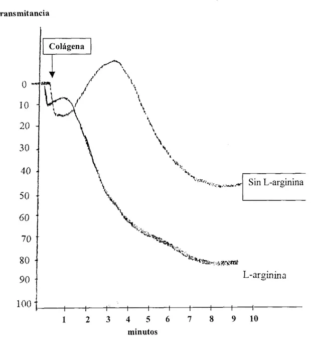 Figura  6.  Agregación  plaquetaria  en  conejos  control  en presencia  de colágena.  Se  muestra el aumento  en transmitancia  de  una  muestra  de  PRP  a  37°C  en agitación,  la  flecha  indica  el  momento  en  el  que  se  añadieron  2  pg  de  colá