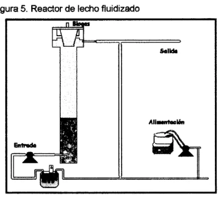 Figura  5. Reactor  de  lecho  fluidizado 