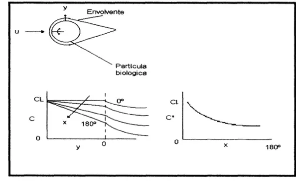 Figura 6. Variación  de  la transferencia  de  materia  en  la fase  liquida  posición  alrededor  de  la  partícula