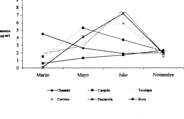 Fig.  10.  Variación  mensual  del  amonio  en  el  sistema  lagunar  Chantuto-  Panzacola, Chiapas,  México 