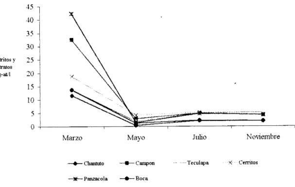 Fig.  12. Variación  mensual  de  los  nitritos y nitratos  en  el  sistema  lagunar  Chantuto-Panzacola,  Chiapas,  México 