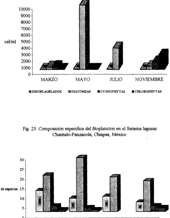 Fig.  22.  Abundancia  fitoplanctbnica  por Grupos  en  el Sistema  Lagmar  Chantuto-Panzacola,  chlapas,  México 