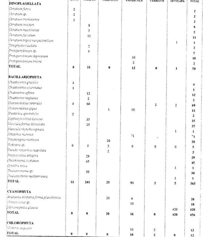 Tabla  4.  Composición  fitoplanctónica  en el Sistema  Lagunar  Chantuto-Panzacola,  Chiapas,  ILICxico