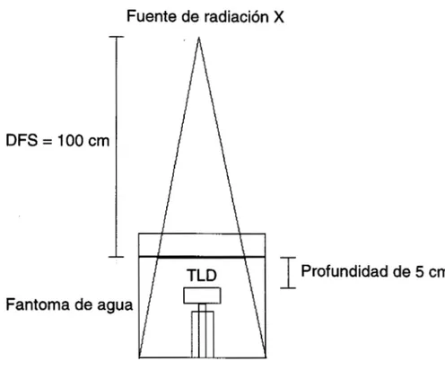 Figura 3.9.  Diagrama  esquemático  del  procedimiento  de irradiación. 