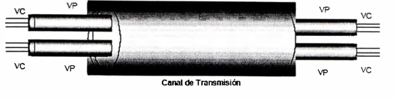 Figura 2.8 Canales Virtuales (VC) dentro de caminos virtuales (VP)  g).  Conmutación ATM 