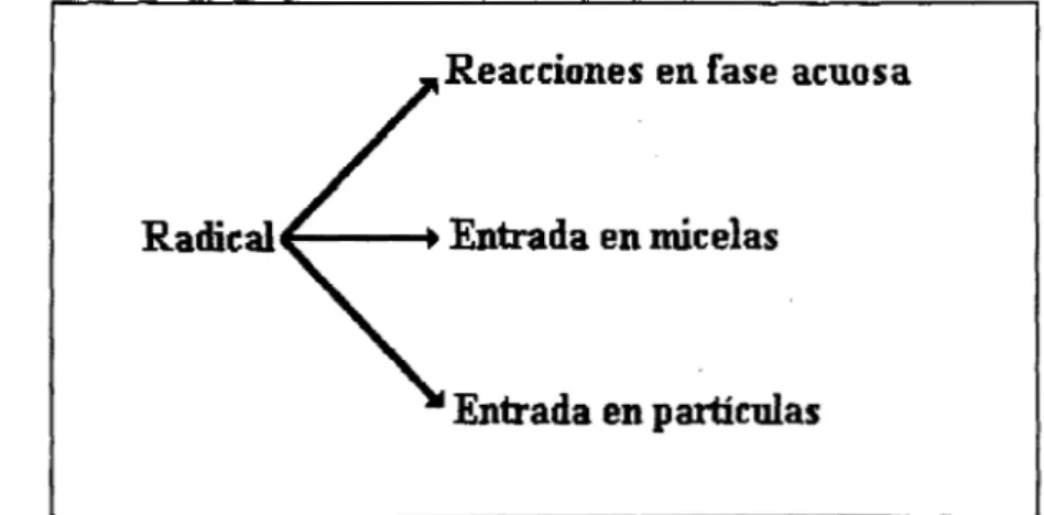 Figura  3.1 Diferentes  eventos  posibles  que  puede  experimentar  un  radical  en  la  fase  acuosa  (se  desprecia  la  entrada  de  radicales  en 